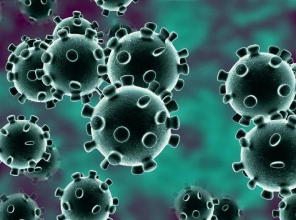 coronavirus_update